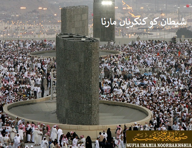 عورت محرم کے بغیر حج نہیں کرسکتی